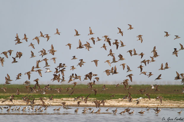 Слано Копово: Лакше до оазе мира и одмора
